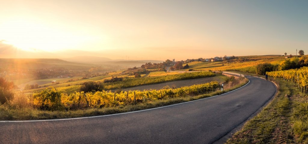 Ce înseamnă moștenirea